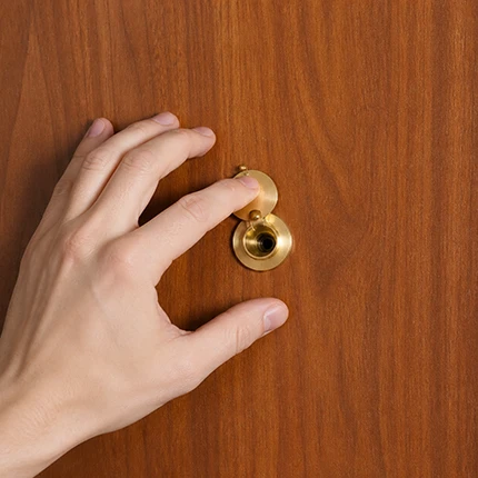 Door Viewer