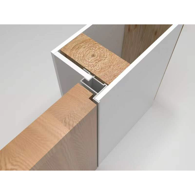 door with Aluminum FrameTrimless door A