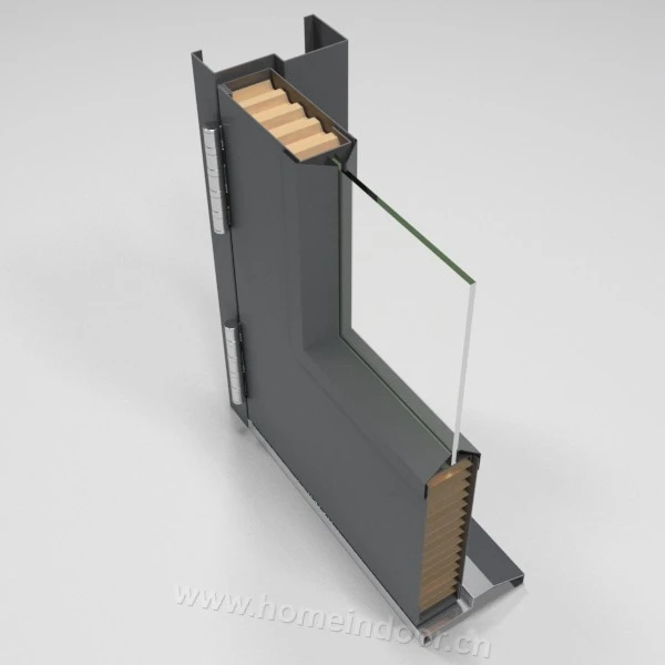 door with Hollow core steel door