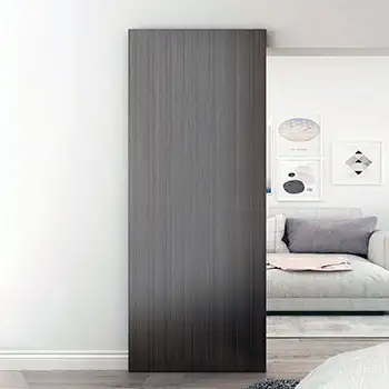 Interior room bedroom wooden hidden track bypass sliding door