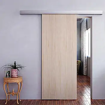 Interior closet contemporary brown painted hidden rails surface mounted sliding doors