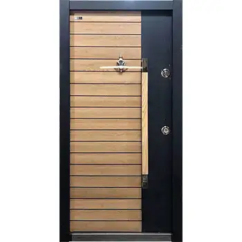 House modern steel-wood armor shield security front door