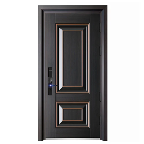 Cost-effective reinforced steel front door for apartment
